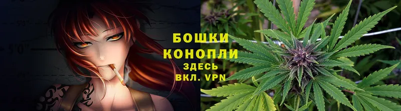 Конопля SATIVA & INDICA  купить наркотики сайты  Ершов 